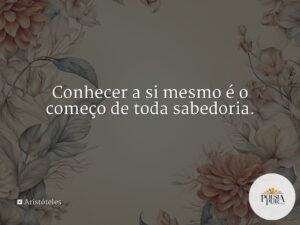 Conhecer a si mesmo é o começo de toda sabedoria.